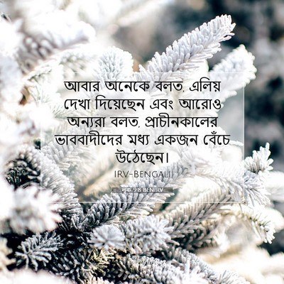 Picture 07 - লূক 9:8 BENIRV - আবার অনেকে বলত, - Bible Verse Picture