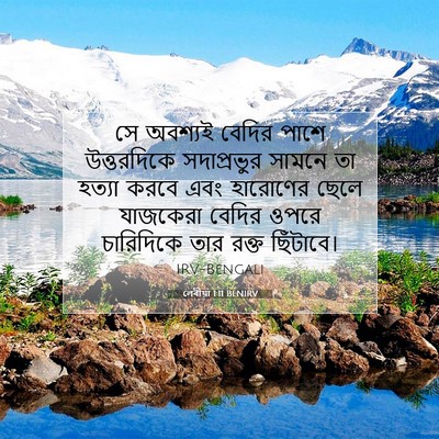 Picture 07 - লেবীয়া 1:11 BENIRV - সে অবশ্যই বেদির - Bible Verse Picture