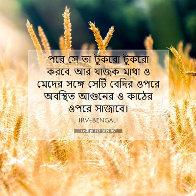 Picture 07 - লেবীয়া 1:12 BENIRV - পরে সে তা টুকরো - Bible Verse Picture