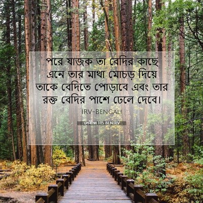 Picture 07 - লেবীয়া 1:15 BENIRV - পরে যাজক তা বেদির - Bible Verse Picture