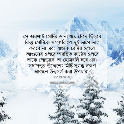 Picture 07 - লেবীয়া 1:17 BENIRV - সে অবশ্যই সেটির - Bible Verse Picture