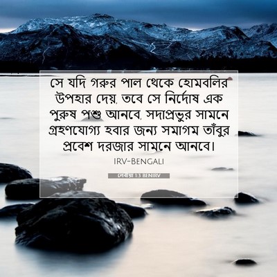 Picture 07 - লেবীয়া 1:3 BENIRV - সে যদি গরুর পাল - Bible Verse Picture