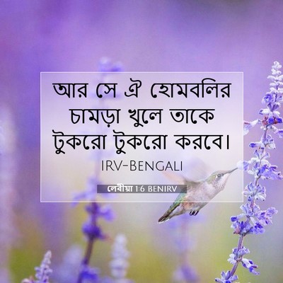 Picture 07 - লেবীয়া 1:6 BENIRV - আর সে ঐ হোমবলির - Bible Verse Picture