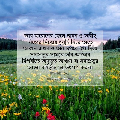 Picture 07 - লেবীয়া 10:1 BENIRV - আর হারোণের ছেলে - Bible Verse Picture