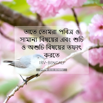 Picture 07 - লেবীয়া 10:10 BENIRV - তাতে তোমরা পবিত্র - Bible Verse Picture