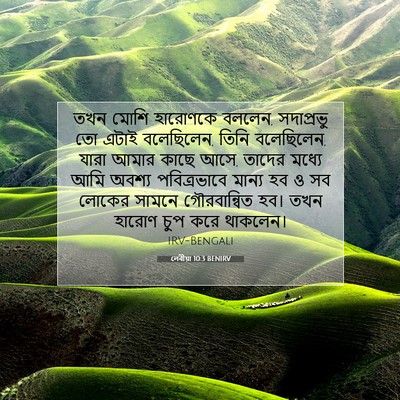 Picture 07 - লেবীয়া 10:3 BENIRV - তখন মোশি হারোণকে - Bible Verse Picture