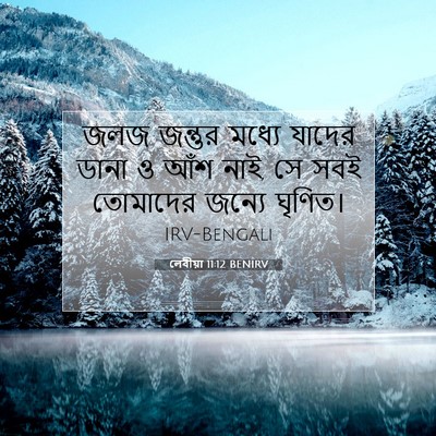 Picture 07 - লেবীয়া 11:12 BENIRV - জলজ জন্তুর মধ্যে - Bible Verse Picture