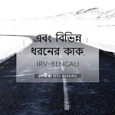 Picture 07 - লেবীয়া 11:15 BENIRV - এবং বিভিন্ন ধরনের - Bible Verse Picture