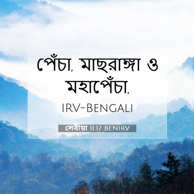Picture 07 - লেবীয়া 11:17 BENIRV - পেঁচা, মাছরাঙ্গা ও - Bible Verse Picture
