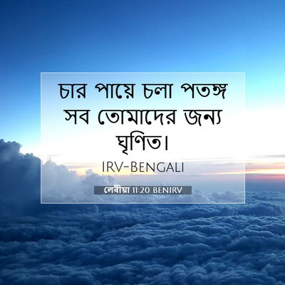 Picture 07 - লেবীয়া 11:20 BENIRV - চার পায়ে চলা - Bible Verse Picture
