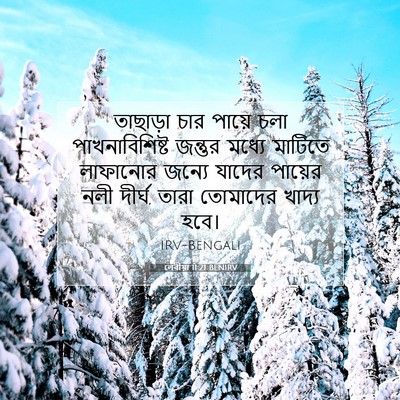 Picture 07 - লেবীয়া 11:21 BENIRV - তাছাড়া চার পায়ে - Bible Verse Picture