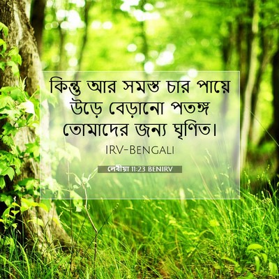 Picture 07 - লেবীয়া 11:23 BENIRV - কিন্তু আর সমস্ত - Bible Verse Picture