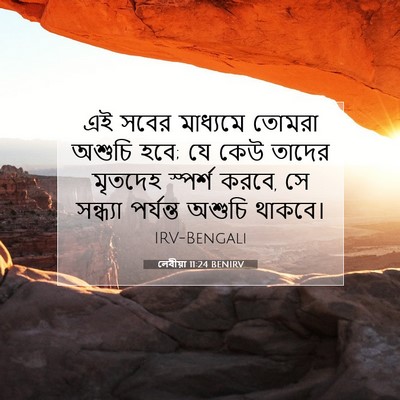 Picture 07 - লেবীয়া 11:24 BENIRV - এই সবের মাধ্যমে - Bible Verse Picture