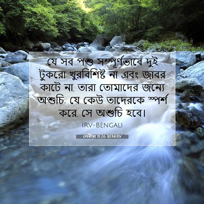 Picture 07 - লেবীয়া 11:26 BENIRV - যে সব পশু - Bible Verse Picture