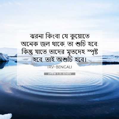 Picture 07 - লেবীয়া 11:36 BENIRV - ঝরনা কিংবা যে - Bible Verse Picture