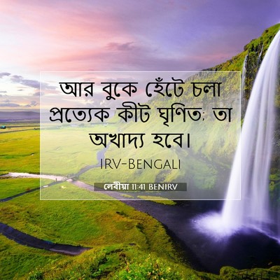 Picture 07 - লেবীয়া 11:41 BENIRV - আর বুকে হেঁটে চলা - Bible Verse Picture