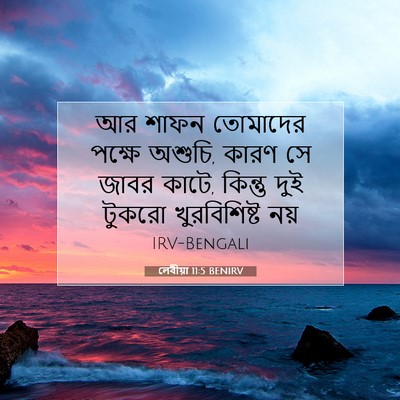 Picture 07 - লেবীয়া 11:5 BENIRV - আর শাফন তোমাদের - Bible Verse Picture