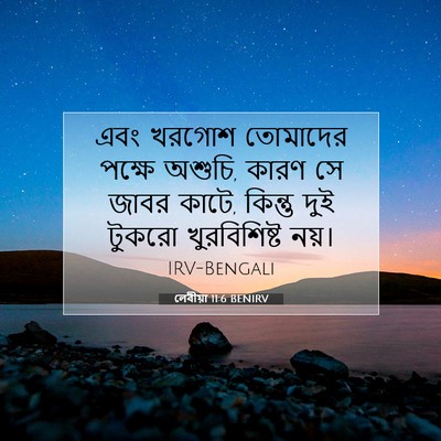 Picture 07 - লেবীয়া 11:6 BENIRV - এবং খরগোশ তোমাদের - Bible Verse Picture