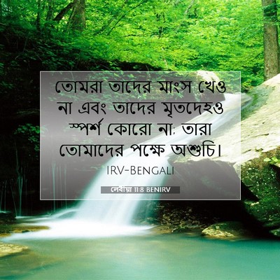 Picture 07 - লেবীয়া 11:8 BENIRV - তোমরা তাদের মাংস - Bible Verse Picture