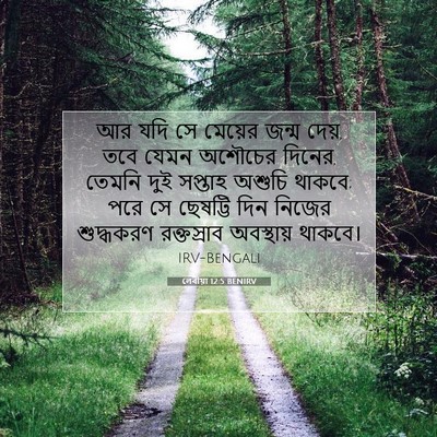 Picture 07 - লেবীয়া 12:5 BENIRV - আর যদি সে মেয়ের - Bible Verse Picture