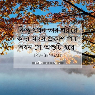 Picture 07 - লেবীয়া 13:14 BENIRV - কিন্তু যখন তার - Bible Verse Picture