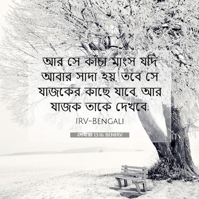 Picture 07 - লেবীয়া 13:16 BENIRV - আর সে কাঁচা মাংস - Bible Verse Picture