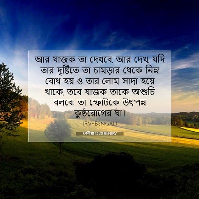 Picture 07 - লেবীয়া 13:20 BENIRV - আর যাজক তা দেখবে, - Bible Verse Picture