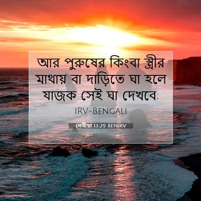 Picture 07 - লেবীয়া 13:29 BENIRV - আর পুরুষের কিংবা - Bible Verse Picture
