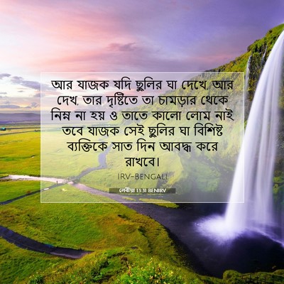 Picture 07 - লেবীয়া 13:31 BENIRV - আর যাজক যদি ছুলির - Bible Verse Picture