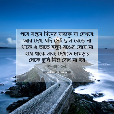 Picture 07 - লেবীয়া 13:32 BENIRV - পরে সপ্তম দিনের - Bible Verse Picture