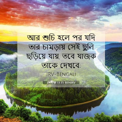 Picture 07 - লেবীয়া 13:35 BENIRV - আর শুচি হলে পর যদি - Bible Verse Picture