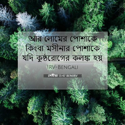Picture 07 - লেবীয়া 13:47 BENIRV - আর লোমের পোশাকে - Bible Verse Picture