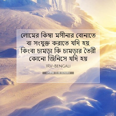 Picture 07 - লেবীয়া 13:48 BENIRV - লোমের কিম্বা - Bible Verse Picture