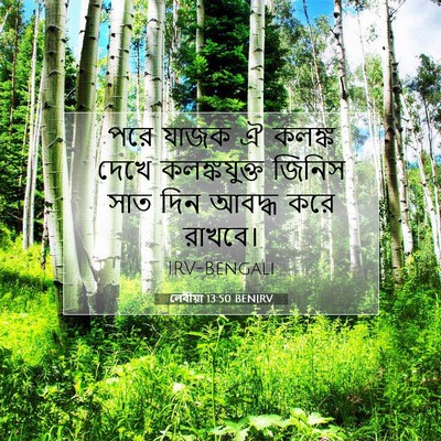 Picture 07 - লেবীয়া 13:50 BENIRV - পরে যাজক ঐ কলঙ্ক - Bible Verse Picture