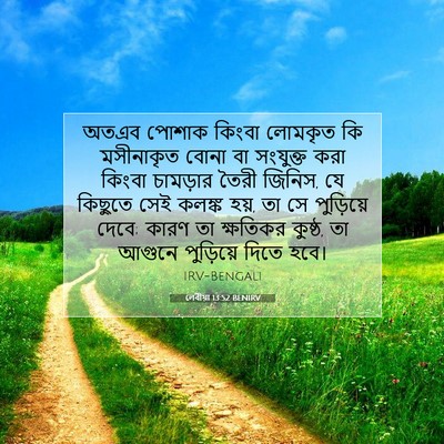 Picture 07 - লেবীয়া 13:52 BENIRV - অতএব পোশাক কিংবা - Bible Verse Picture