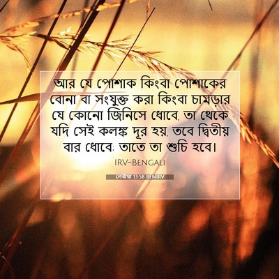 Picture 07 - লেবীয়া 13:58 BENIRV - আর যে পোশাক কিংবা - Bible Verse Picture