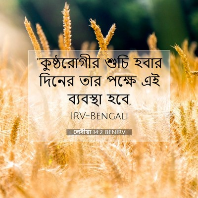 Picture 07 - লেবীয়া 14:2 BENIRV - “কুষ্ঠরোগীর শুচি - Bible Verse Picture