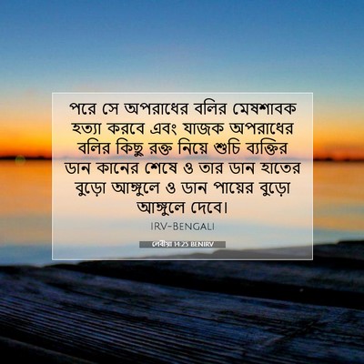 Picture 07 - লেবীয়া 14:25 BENIRV - পরে সে অপরাধের - Bible Verse Picture