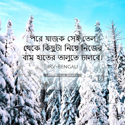 Picture 07 - লেবীয়া 14:26 BENIRV - পরে যাজক সেই তেল - Bible Verse Picture