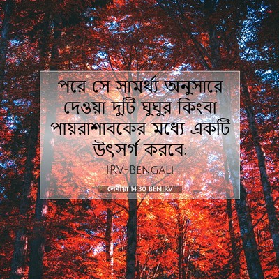 Picture 07 - লেবীয়া 14:30 BENIRV - পরে সে সামর্থ্য - Bible Verse Picture