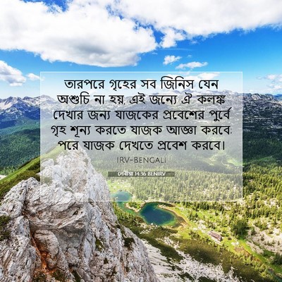 Picture 07 - লেবীয়া 14:36 BENIRV - তারপরে গৃহের সব - Bible Verse Picture