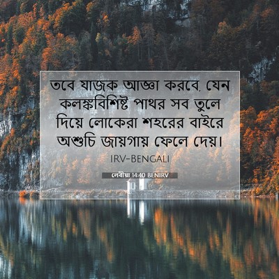 Picture 07 - লেবীয়া 14:40 BENIRV - তবে যাজক আজ্ঞা - Bible Verse Picture