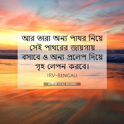 Picture 07 - লেবীয়া 14:42 BENIRV - আর তারা অন্য পাথর - Bible Verse Picture
