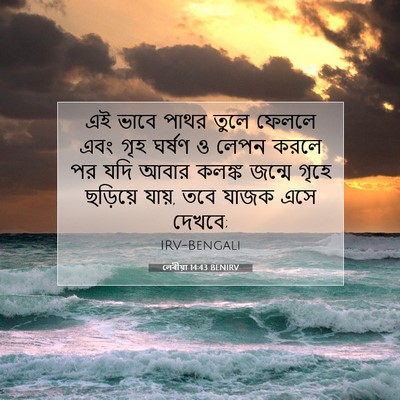 Picture 07 - লেবীয়া 14:43 BENIRV - এই ভাবে পাথর তুলে - Bible Verse Picture