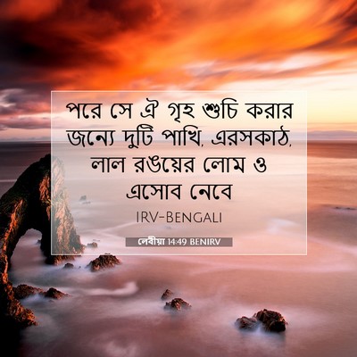 Picture 07 - লেবীয়া 14:49 BENIRV - পরে সে ঐ গৃহ শুচি - Bible Verse Picture