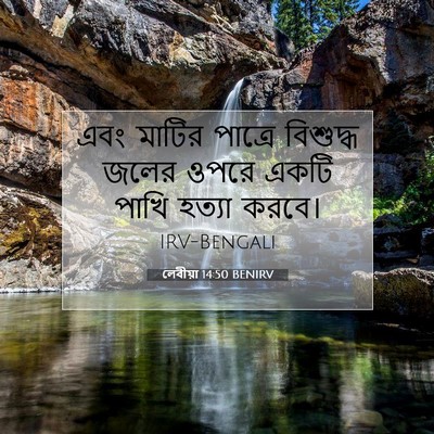 Picture 07 - লেবীয়া 14:50 BENIRV - এবং মাটির পাত্রে - Bible Verse Picture
