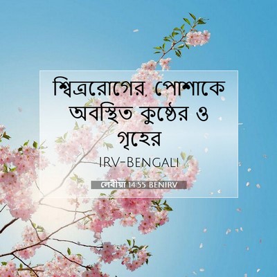 Picture 07 - লেবীয়া 14:55 BENIRV - শ্বিত্ররোগের, - Bible Verse Picture