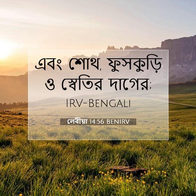 Picture 07 - লেবীয়া 14:56 BENIRV - এবং শোথ, ফুসকুড়ি ও - Bible Verse Picture