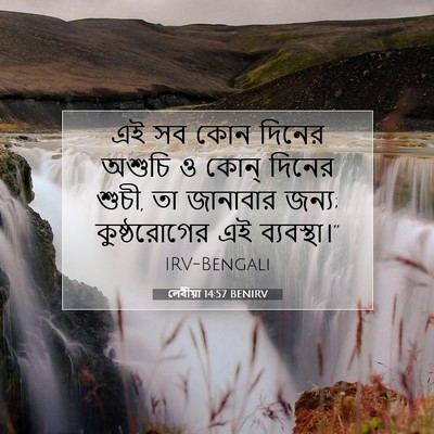 Picture 07 - লেবীয়া 14:57 BENIRV - এই সব কোন দিনের - Bible Verse Picture