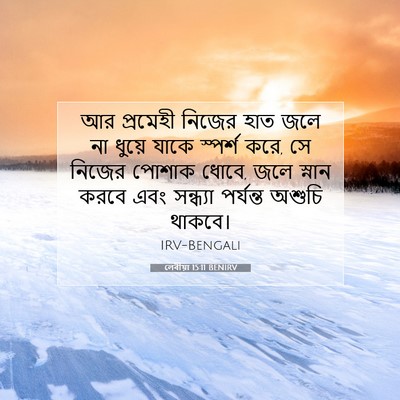 Picture 07 - লেবীয়া 15:11 BENIRV - আর প্রমেহী নিজের - Bible Verse Picture